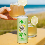 Elta Ego Functional Lime Mojito – Low Sugar, Low Calorie & All Natural